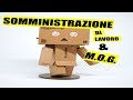 SOMMINISTRAZIONE di LAVORO & MONTE ORE GARANTITO...occasione PERSA???!!!!