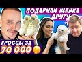 ПОДАРИЛИ СОБАКУ ДРУГУ/ КВАРТИРА ЗА 40 000 000😱 / ТАЧКА Т 1000