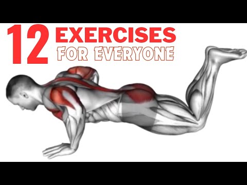 Video Exercices 12 Best Exercises for Everyone - YouTube