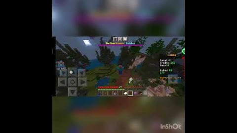 Hacking in Nethergames