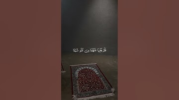 اكتب شيء تؤجر عليه 😴🤍 قران كريم | راحة نفسية