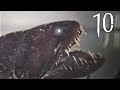 Top 10 Creepy Deep Sea Creatures