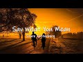 Say What You Mean - Sture Zetterberg || Lyrics / Lyric Video🎵