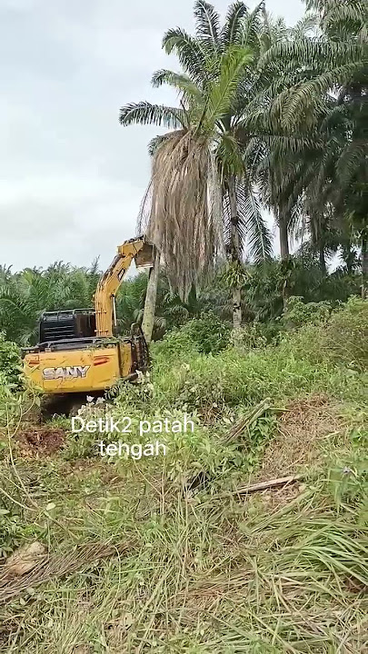Mengerikan!!! detik2 excavator tumbang sawit#shorts #shortsvideo