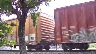 FEC Freight Train 1879