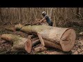 Off Grid Winter Project: Milling the Giant Ash Tree into Planks