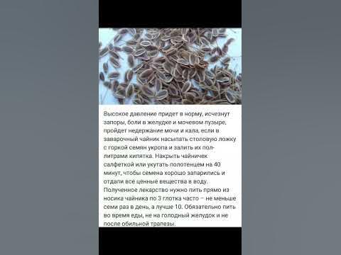 Высокое давление - YouTube
