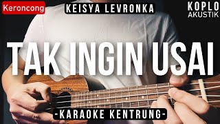 Tak Ingin Usai - Keisya Levronka (KARAOKE KENTRUNG)