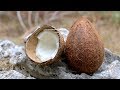 #4 - Cocco - Fuoco Cibo Acqua - Sopravvivenza in MARE e su ISOLA DESERTA