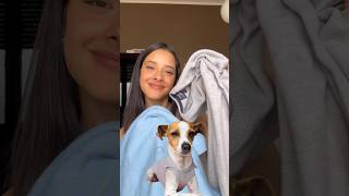 Tutorial Ropa Para Perro