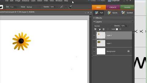 Viewing Brushes in ABRViewer