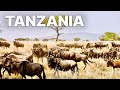 Tanzania Endless Source Of Wonder Full Documentary
