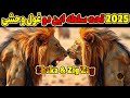 شاکا و زیگزاگ وحشی ترین و بی رحم ترین شیرهای سال ۲۰۲۵ 