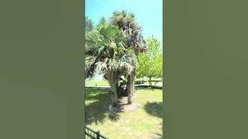 Up close with the incredible rocket launch site 🚀theparts come together to make history take flight