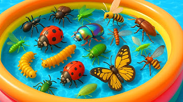 Kids Learn Bugs homes with Toys & Real Insects | Bugs names & Homes | Preschool Learning