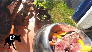 Raw meaty bones and sweet potato | Kaia the Doberman