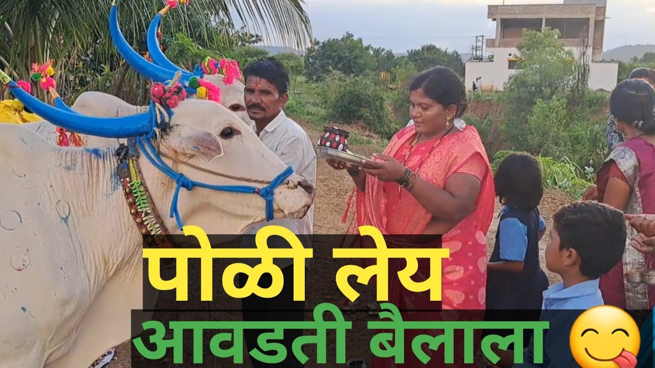 बैल पोळा आति सुंदर साजरा झाला आमच्या कड 🥰#vlog #manishahajare