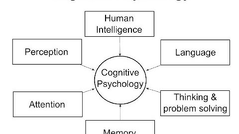 Cognitive Psychology Introduction