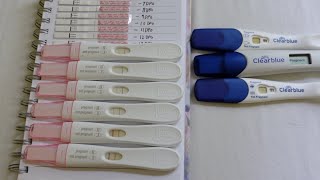 Pregnancy test line progression