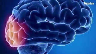 Soon You May Be Able To Upload Knowledge To Your Brain