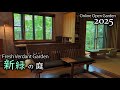 新緑の季節 山野草と雑木の庭 オンラインオープンガーデン(2025/4/19)