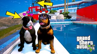 FRANKLİN'İN KÖPEĞİ CHOP'UN GİZLİ SEVGİLİSİNİ BULDUM! - GTA 5