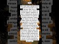 #manifestazione #tarocchi #universo #fyp #cortometraggi #bobine #leone #vidéovirale