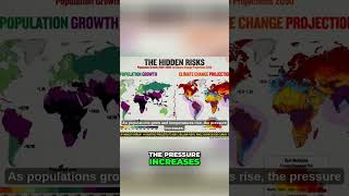 Water Scarcity: The Global Crisis We Face #shorts