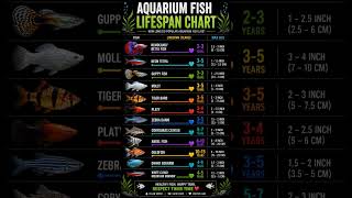 aquarium fish life chart #aquarium #shorts