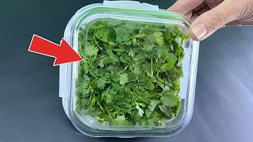 Preserve Coriander Like A PRO For 12 Months Without Effort!