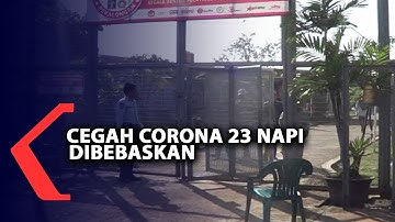 Cegah Corona, 23 Napi di Lapas Kelas IIA Pekalongan Dibebaskan