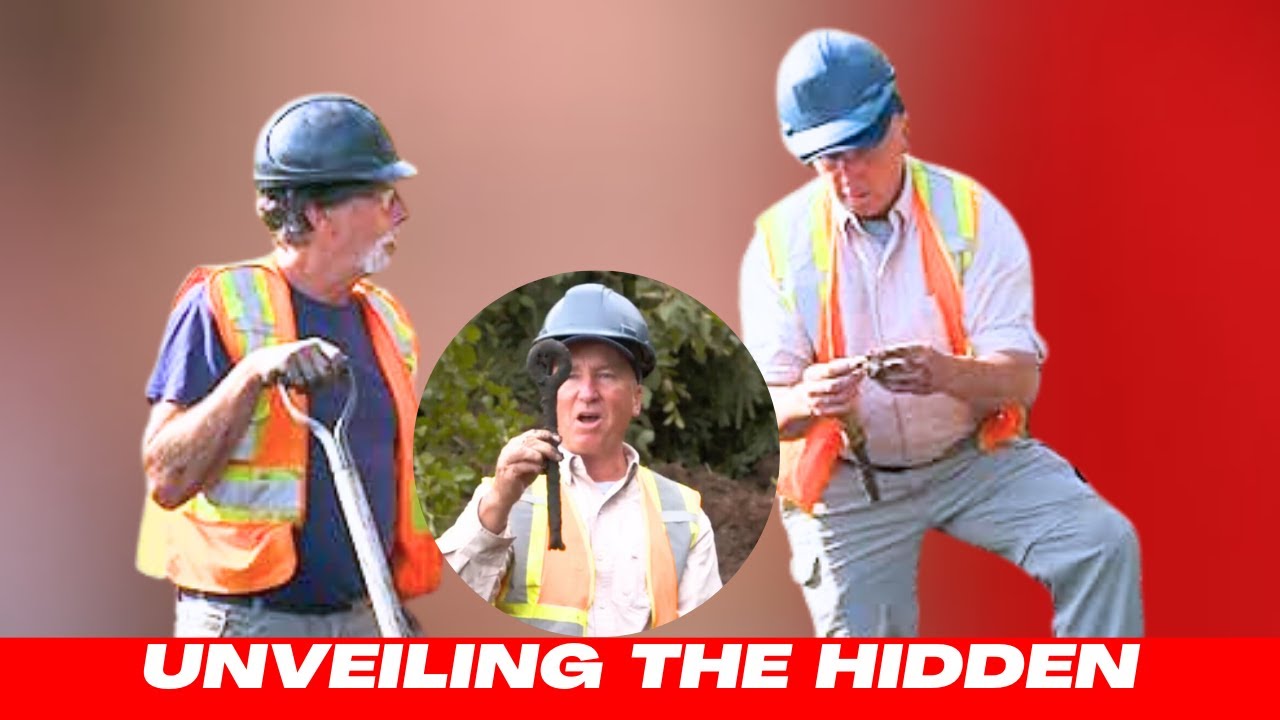 Unveiling the hidden treasures of Oak Island Team finds captivating