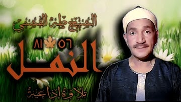 الشيخ طه الفشني | سورة النمل 56-81 | استوديو