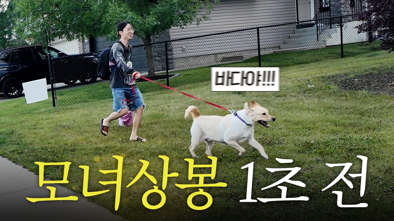 캐나다로 입양 보낸 막내딸 만나러 16시간 비행기 타고 온  엄마 다다