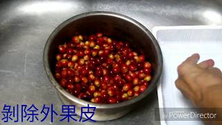 DIY手工自製咖啡豆(蜜處理法) 9/30/2019