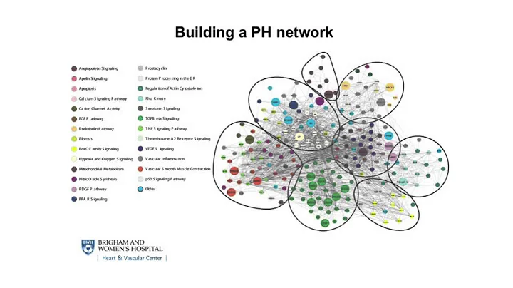 MicroRNA-regulat...  network promotes pulmonary hy...