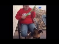 Cute puppy plays with 'Chuck it'