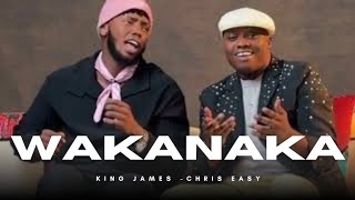 Wakanaka chriss easy - king James(official lyrics)