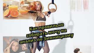 Как правильно собирать мочу на анализ по Зимницкому Как правильно собирать мочу на анализ по Зимницкому