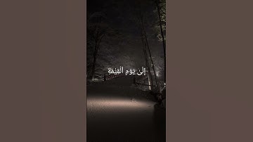 سورة النساء - الشيخ ياسر الدوسري #القرآن_الكريم #قرآن #قران_كريم #اكسبلور