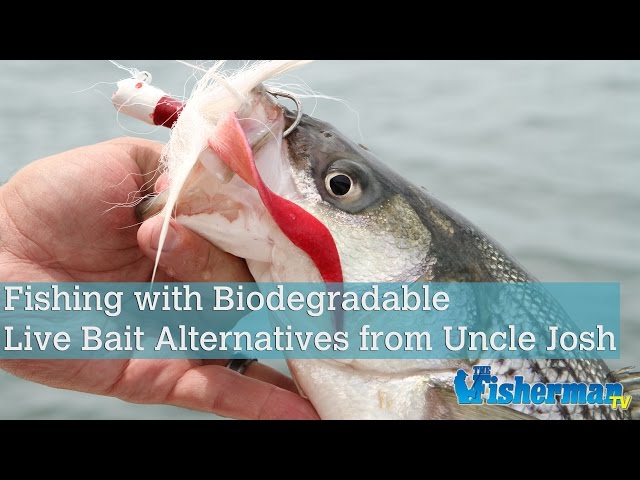 Fishing with Biodegradable Live Bait Alternatives from Uncle Josh