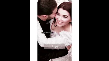 هو حبيبي اللي اتمنيته يكون ليا حالات واتس اب 