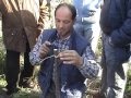 Corso di innesto - lezione con Antonio Santini, agrotecnico esperto forestale