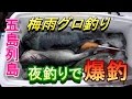 【夜グロ祭り】五島列島 梅雨グロ釣り 第3話 完結編【磯釣り】