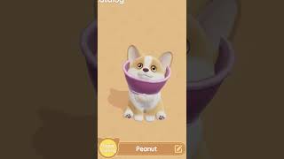 the new Heartopia event is live! #heartopia