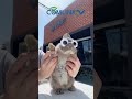 #cute #cuteanimals #nature #naturelover #natural #outdoors #animals #wildlife #wildanimals