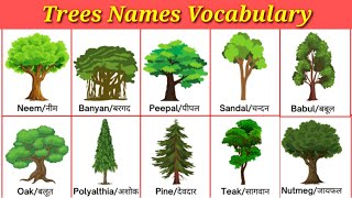 Trees Names Vocabulary Trees Names In Hindi And English Common Words Daily Use Words Meanings