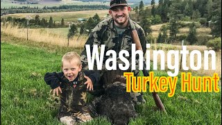 Washington Fall Turkey Hunt Spot And Stalk