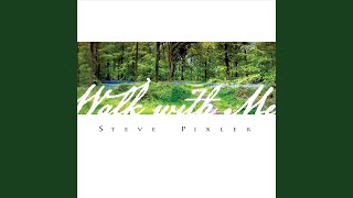 Video thumbnail of "Steve Pixler - I've Got the Holy Ghost"