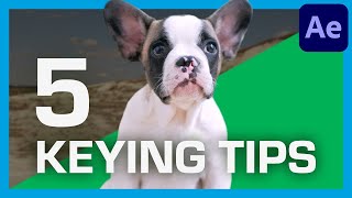5 Green Screen Keying Tips For Beginners Actionvfx Quick Tips